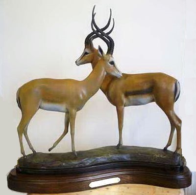 Instructor Image